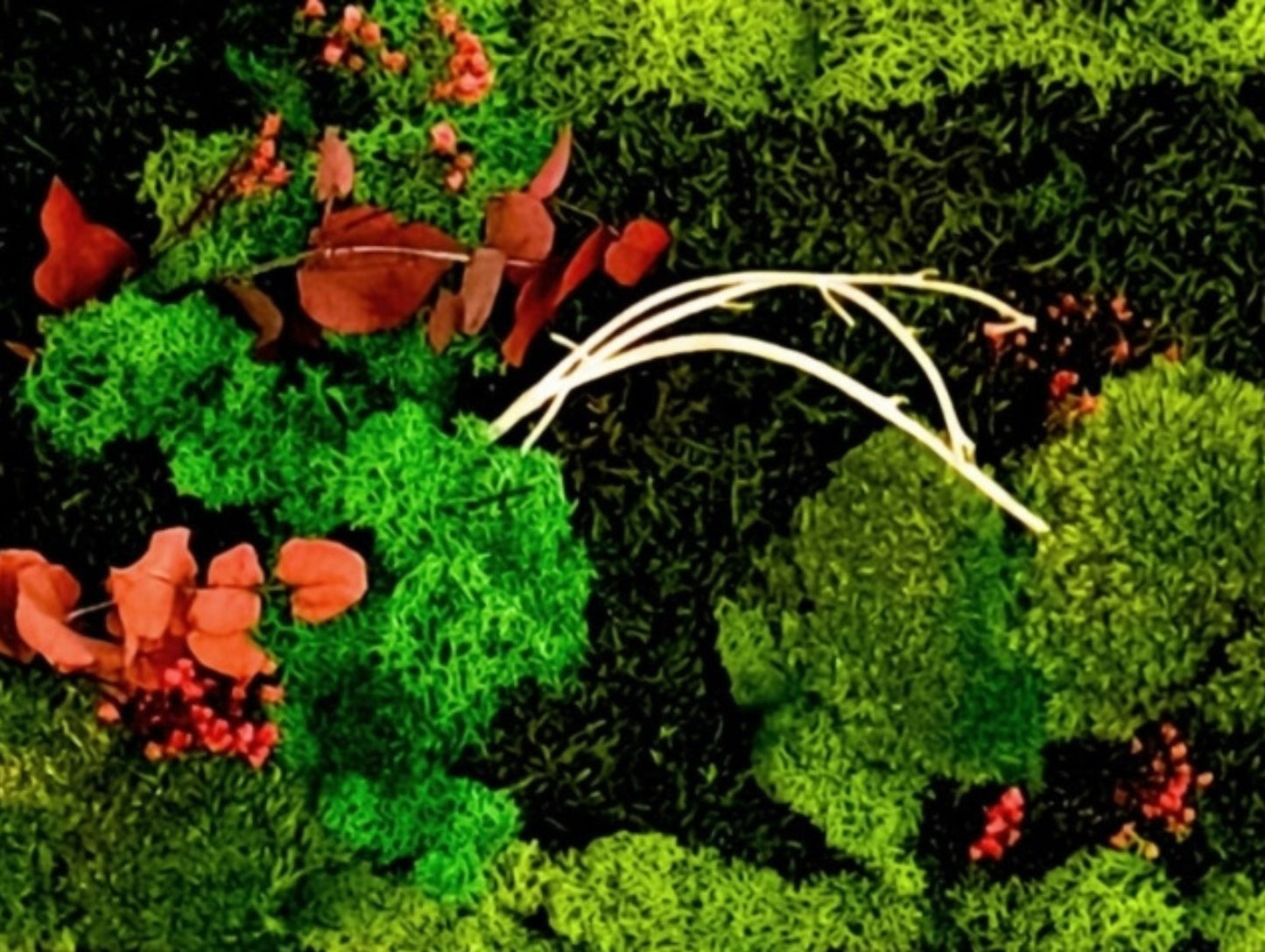 Quadro Vegetale Stabilizzato Red Eucalipto