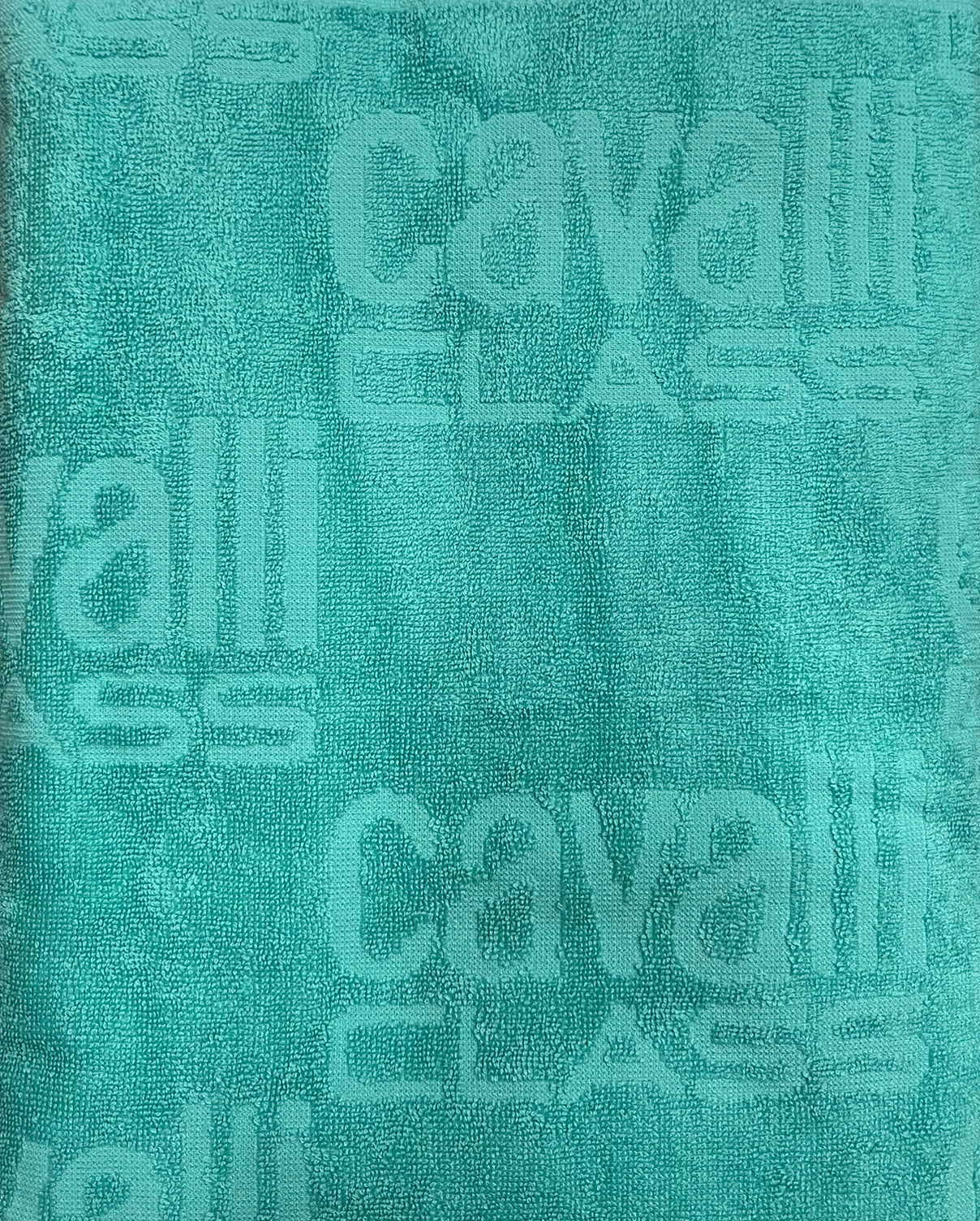 Telo Mare Cavalli Class Roberto Cavalli Marino Corredi biancheria per la casa biancheria casa