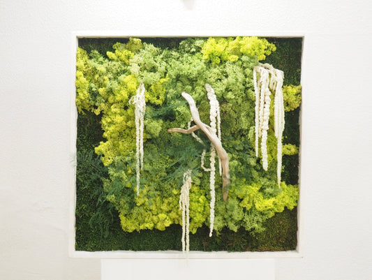 Quadro Vegetale Stabilizzato Jungle Moss