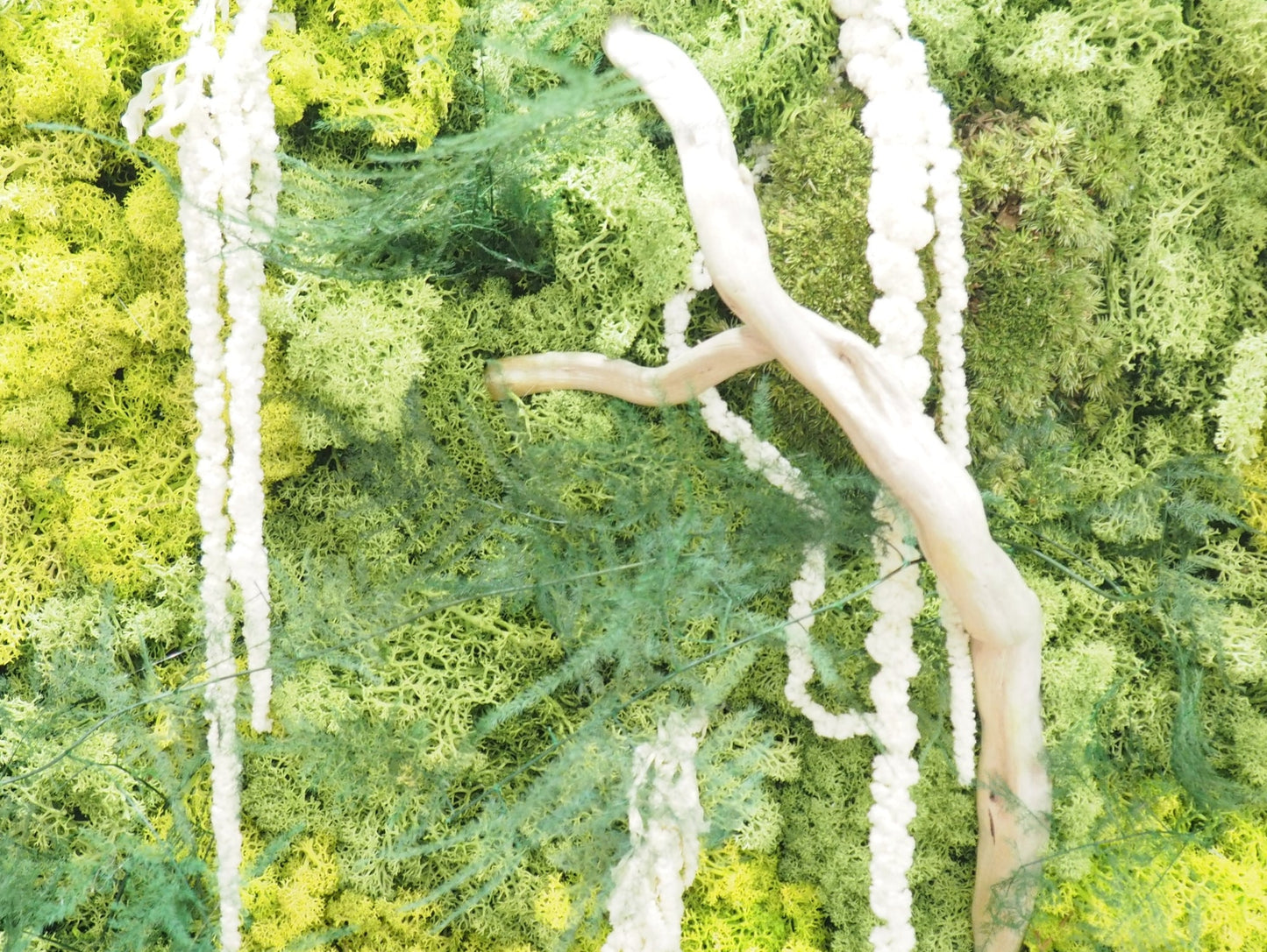 Quadro Vegetale Stabilizzato Jungle Moss