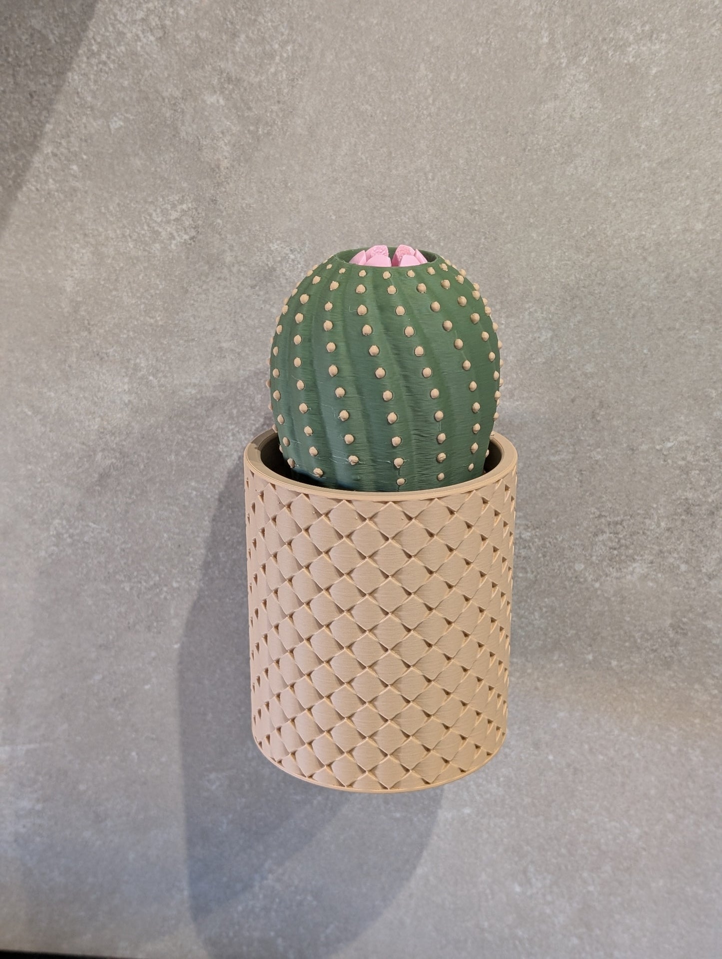 Cacty Flower, portachiavi magnetico da parete