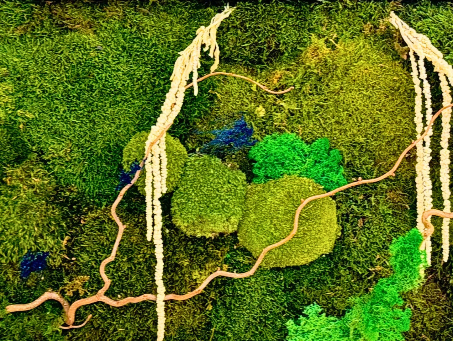 Quadro Vegetale Stabilizzato White Amarantus