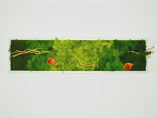 Quadro Vegetale Stabilizzato Red Carthamus