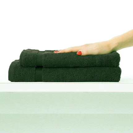 Coppia Asciugamano + Ospite Ranger Plus - Galizzi